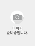 송쌍종 교수 사진